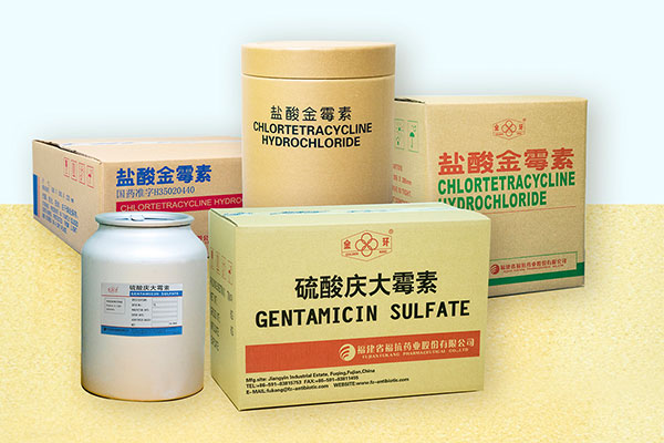 EBET�ײ�(�й���)�ٷ���վ